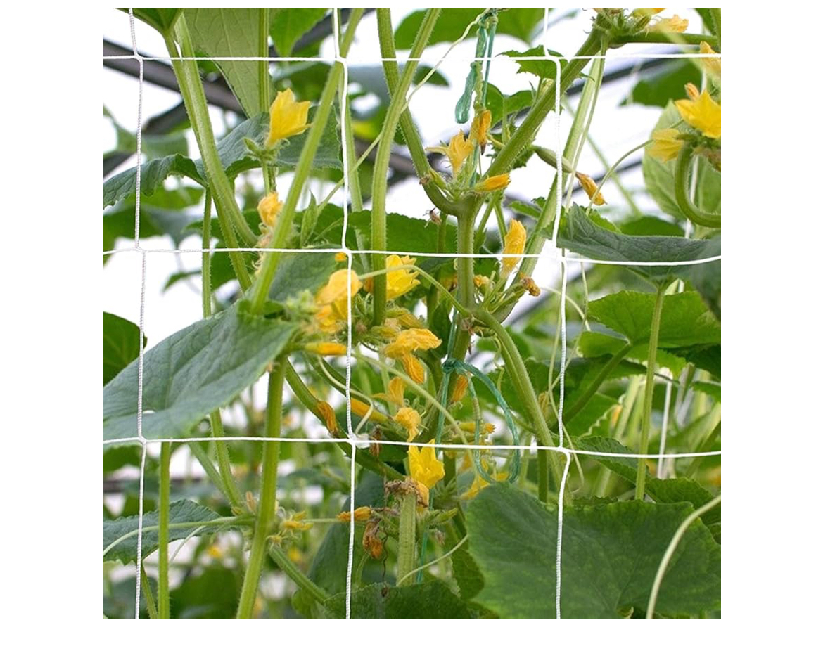 Garden Plant Trellis Netting 5*30ft, VASLON Plant Netting 2 Pack Heavy-Duty Polyester Trellis Net - Image 3